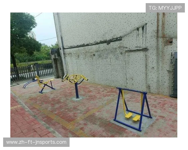 深圳公共健身器材发展现状与市政投放布局 深圳公共健身器材发展现状与市政投放布局